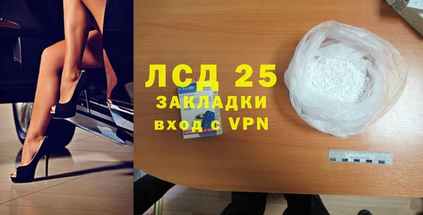 стаф Осинники