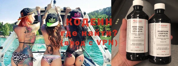 ПСИЛОЦИБИНОВЫЕ ГРИБЫ Козловка