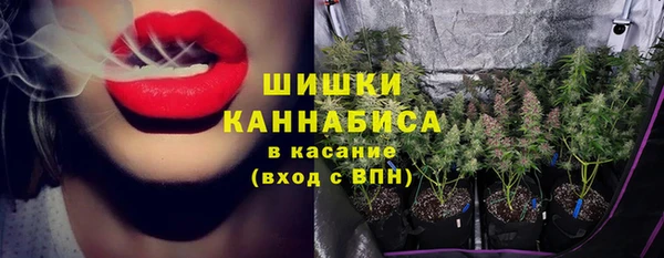 apvp Козельск