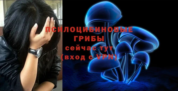 ПСИЛОЦИБИНОВЫЕ ГРИБЫ Козловка