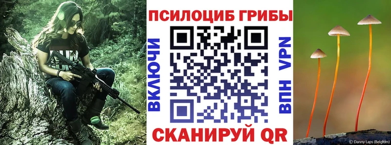 Галлюциногенные грибы мицелий Магадан