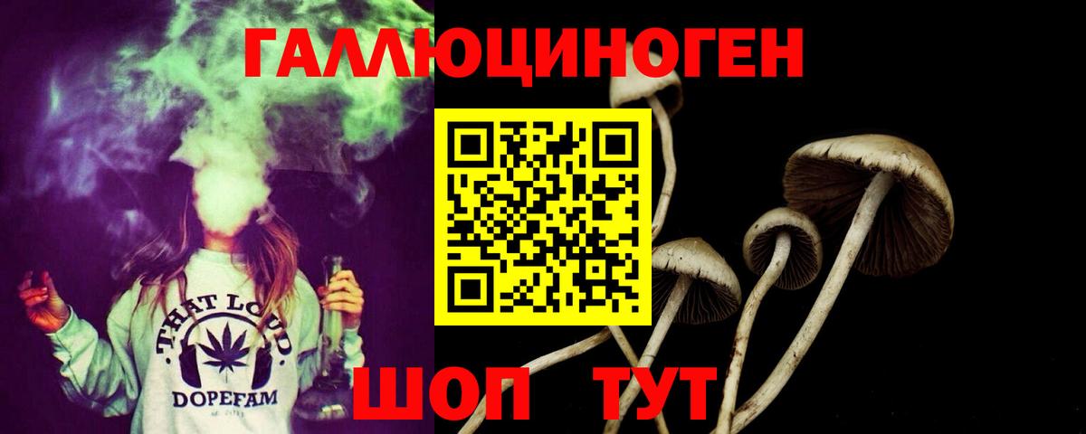 Галлюциногенные грибы прущие грибы  Вход с VPN  Магадан  Псилоцибиновые грибы ЛСД 